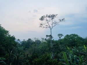 Seren’s Rooftop Escape: Posing, Peace, and a Whole Lot of Green